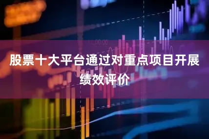 股票十大平台通过对重点项目开展绩效评价
