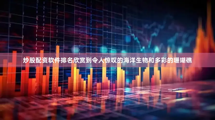 炒股配资软件排名欣赏到令人惊叹的海洋生物和多彩的珊瑚礁