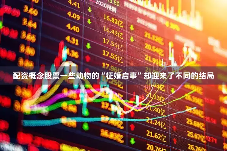 配资概念股票一些动物的“征婚启事”却迎来了不同的结局