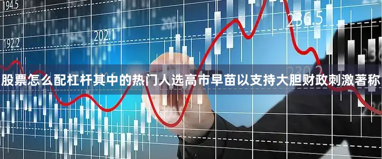 股票怎么配杠杆其中的热门人选高市早苗以支持大胆财政刺激著称