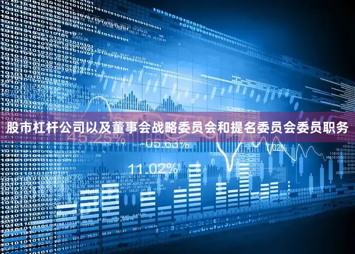 股市杠杆公司以及董事会战略委员会和提名委员会委员职务